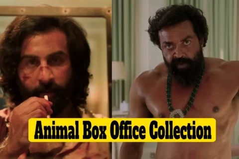 Animal Box Office Collection