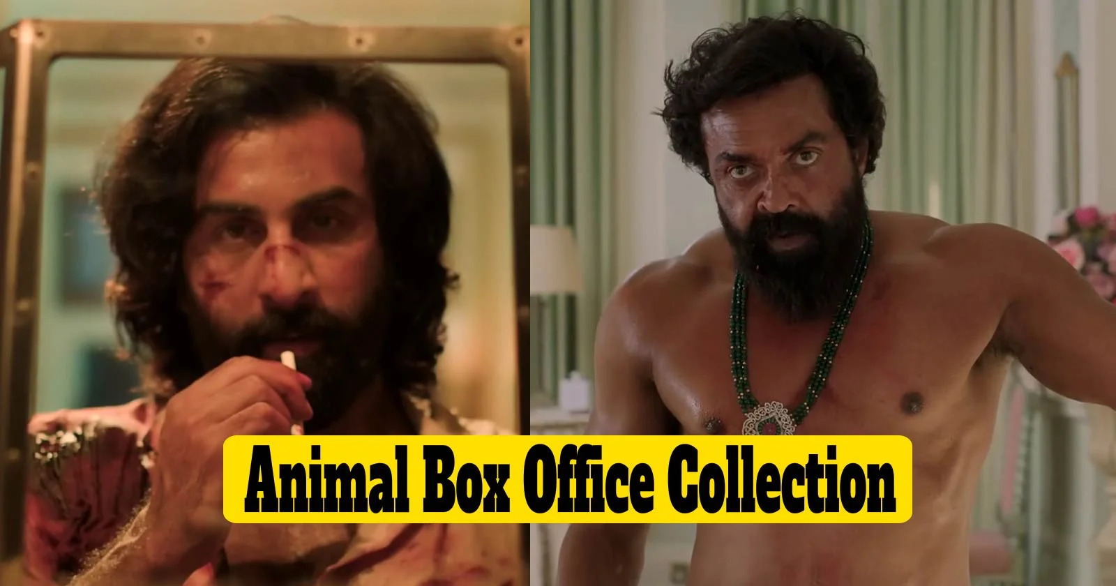 Animal Box Office Collection