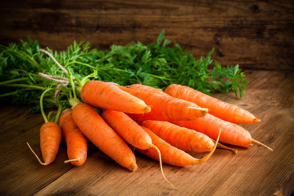गाजर (Carrot)